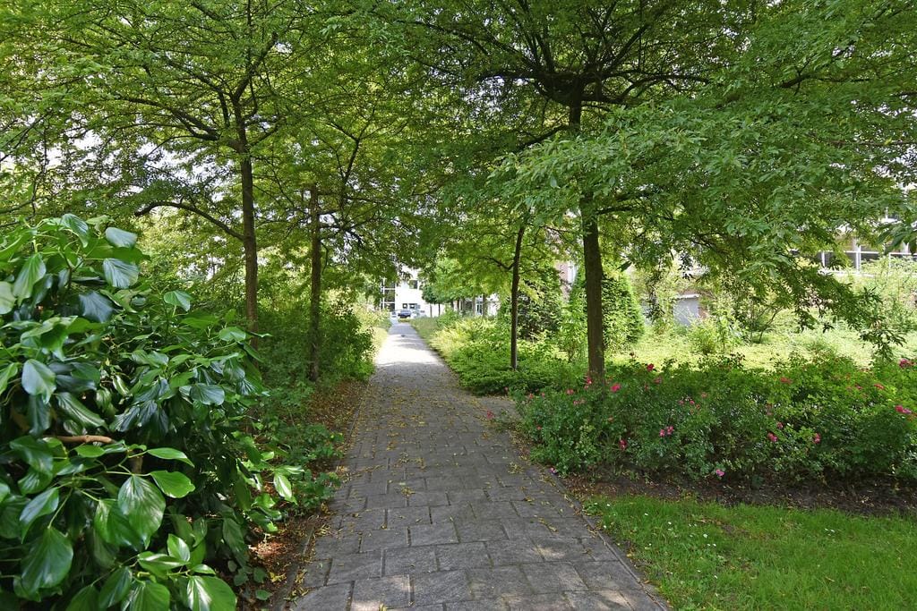 Foto 41 van Dublinstraat 123