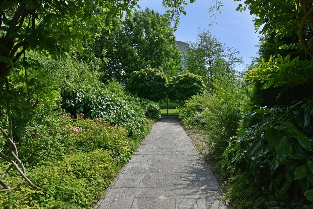 Foto 42 van Dublinstraat 123