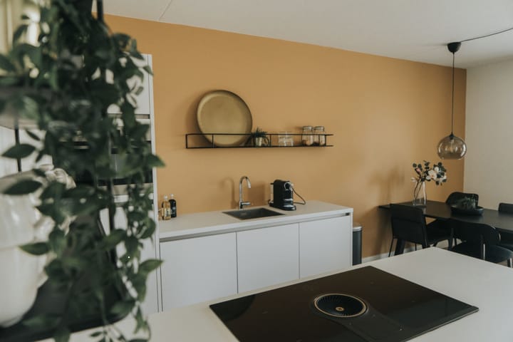 Photo 5 of Homerusplein 116