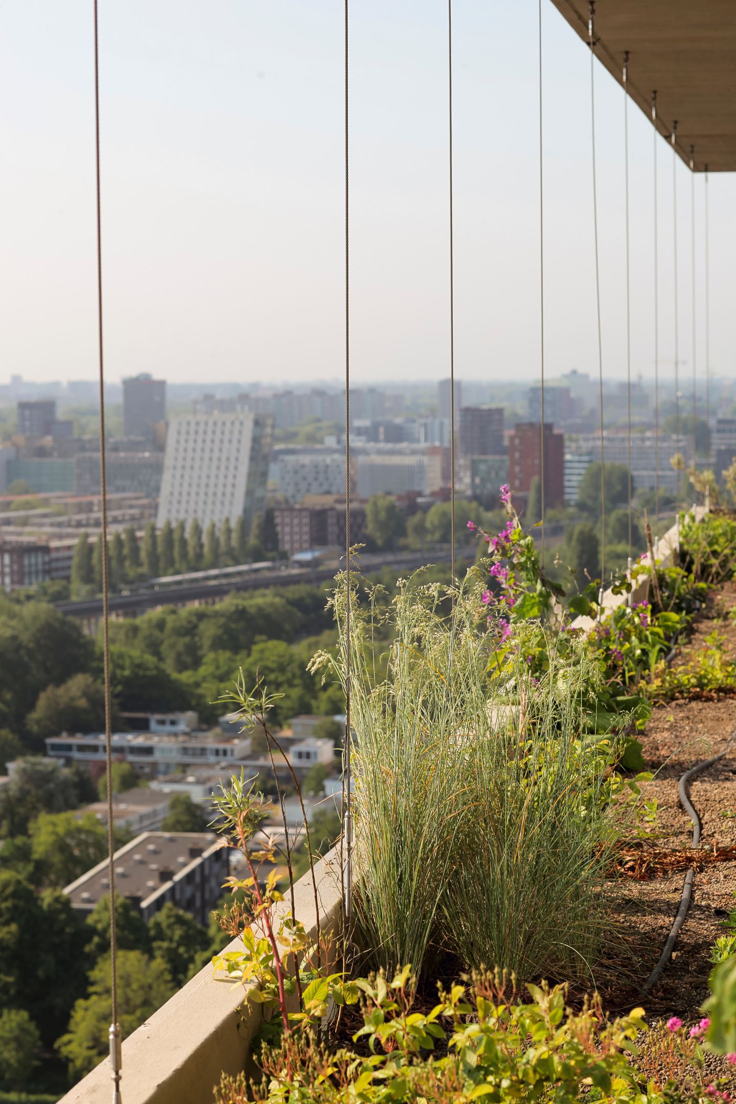 Photo 20 of Radarweg 458