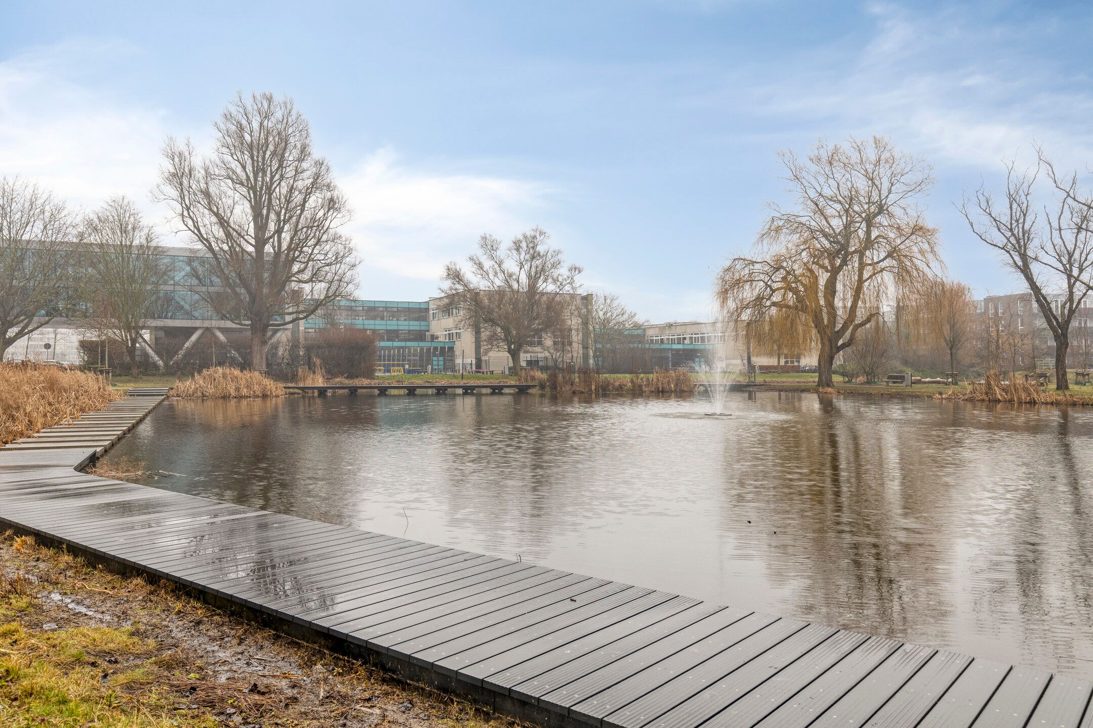 Photo 30 of Johanna Naberstraat 126