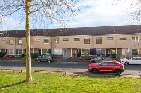 Salsastraat thumbnail