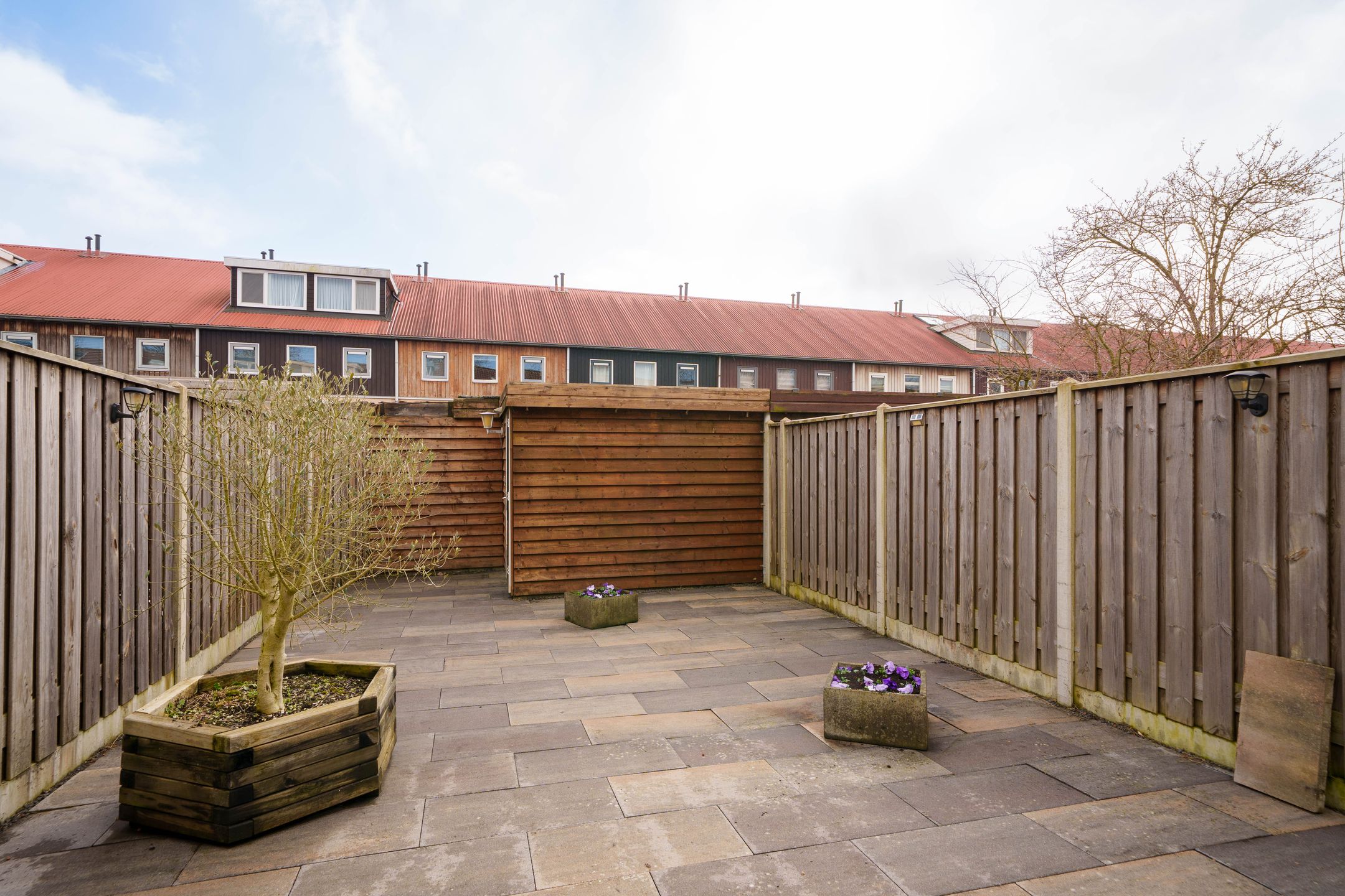 Foto 24 van Salsastraat 213