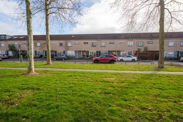 Foto 32 van Salsastraat 213