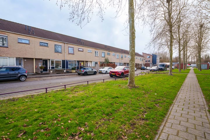 Foto 34 van Salsastraat 213