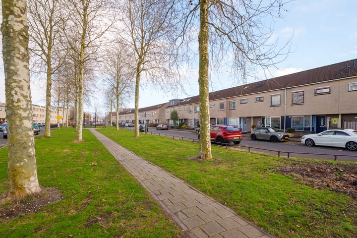 Foto 36 van Salsastraat 213