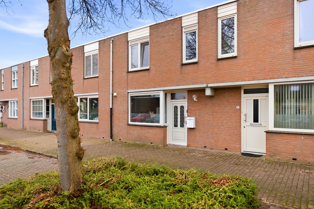 Foto 1 van Zandwierde 60