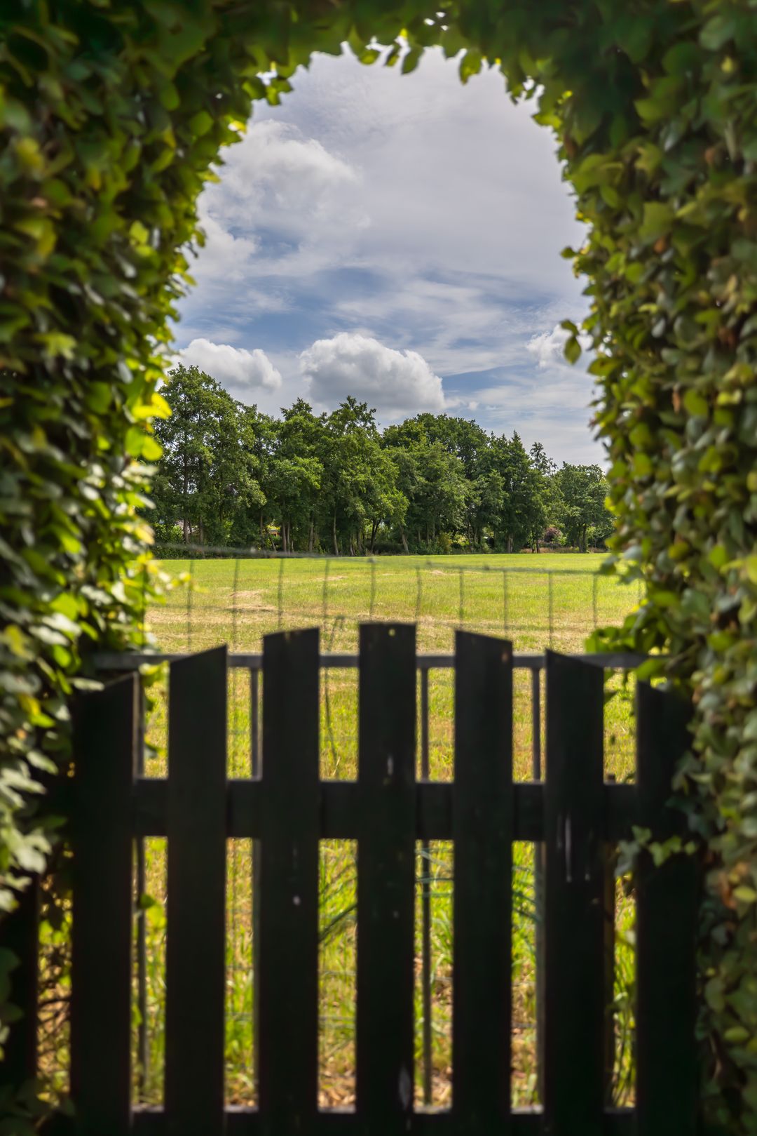 Foto 43 van De Hoek 1-A