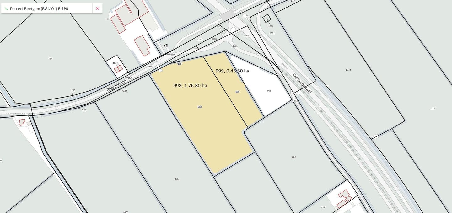 Bekijk foto 1 van Bitgumerdyk