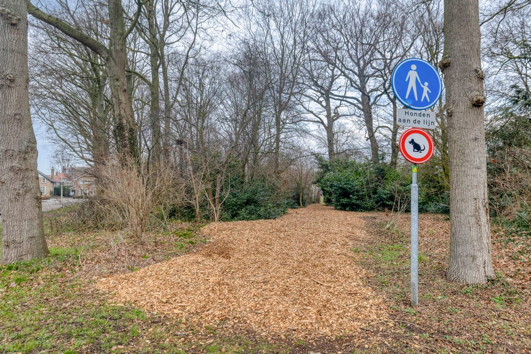 Foto 43 van Molensingel 19