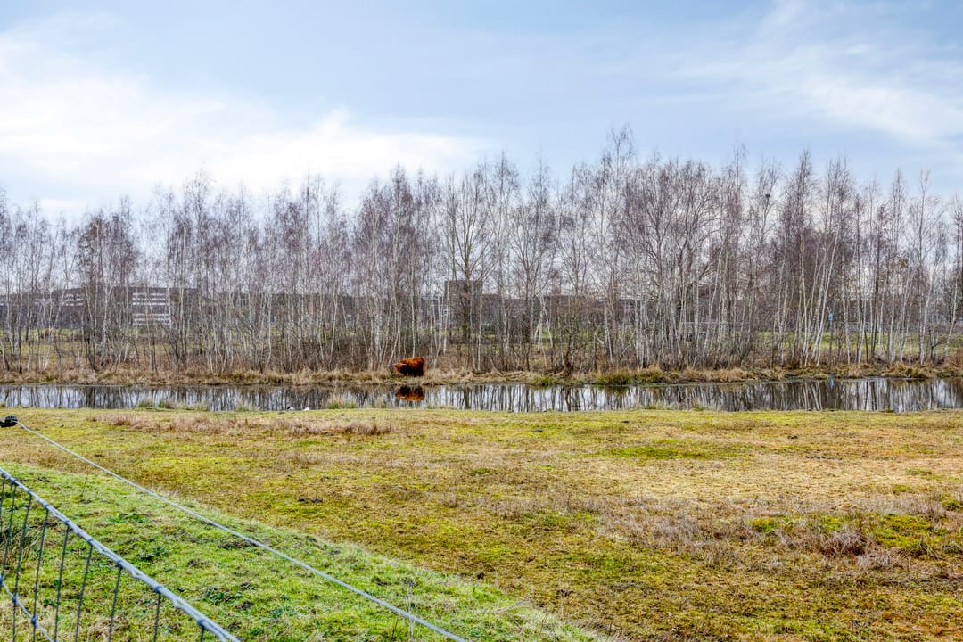 Foto 47 van Oldenzaalsingel 11