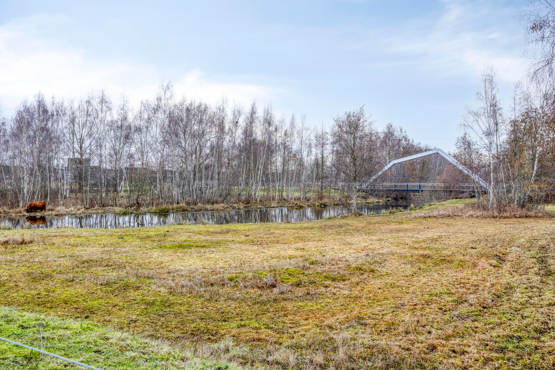 Foto 48 van Oldenzaalsingel 11