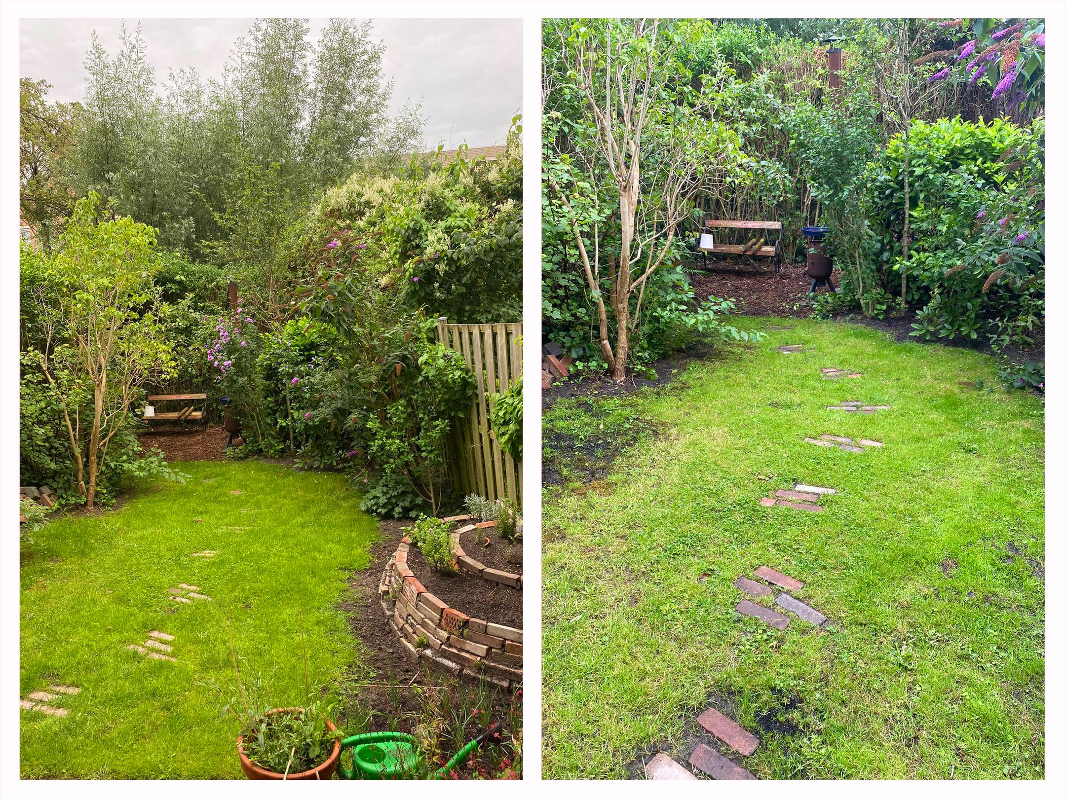 Foto 3 van Hondsrug 253