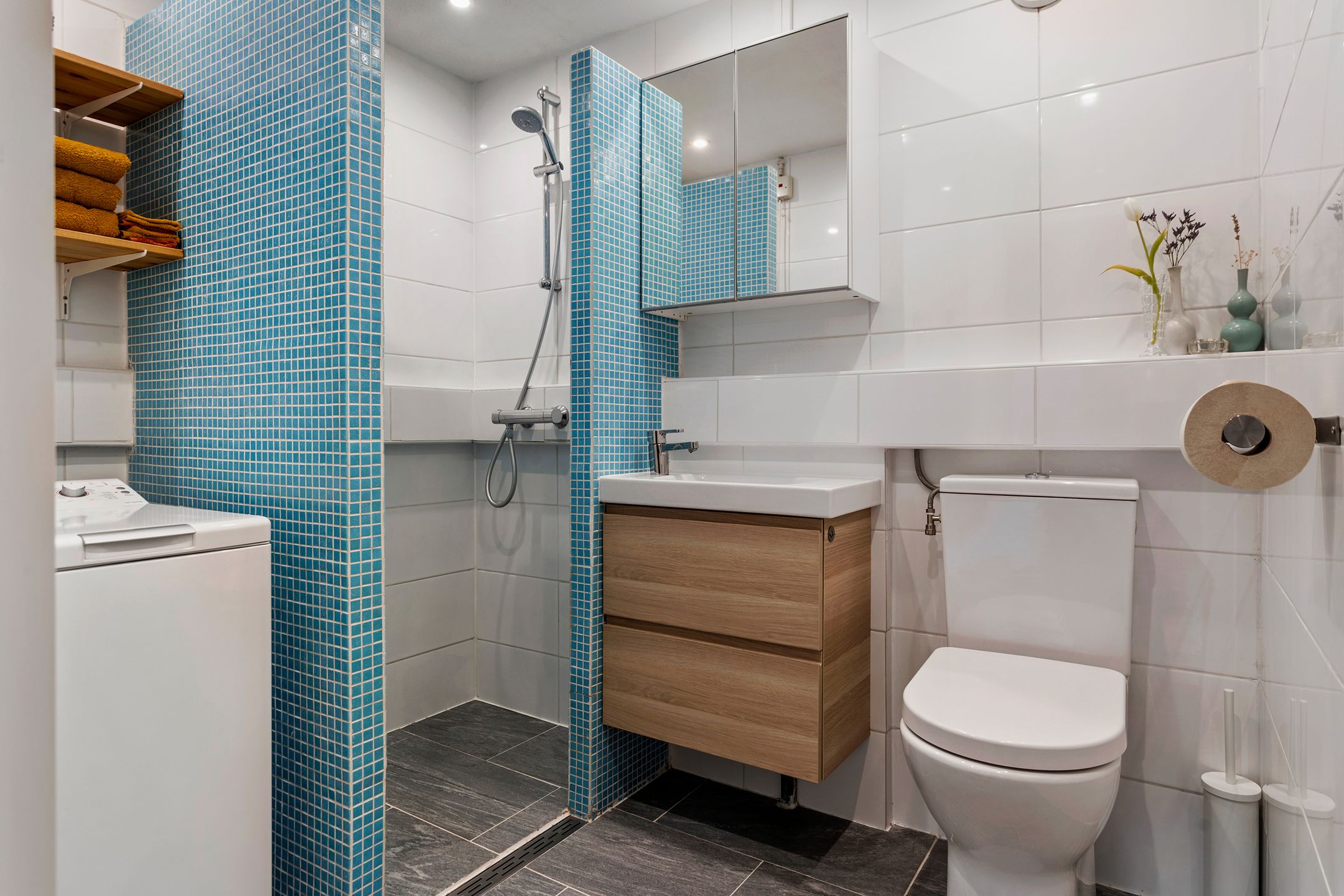 Foto 18 van Hondsrug 253