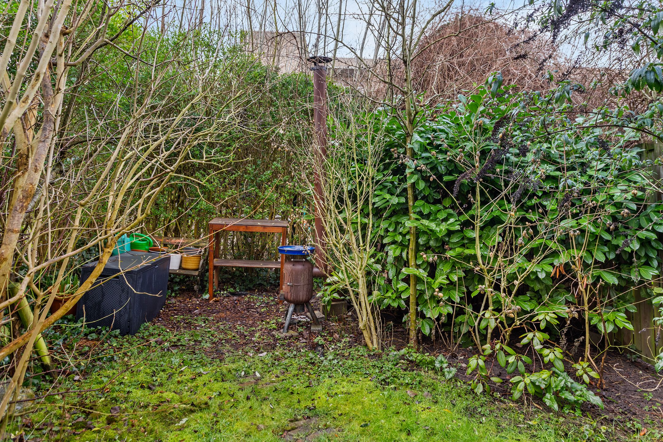 Foto 24 van Hondsrug 253