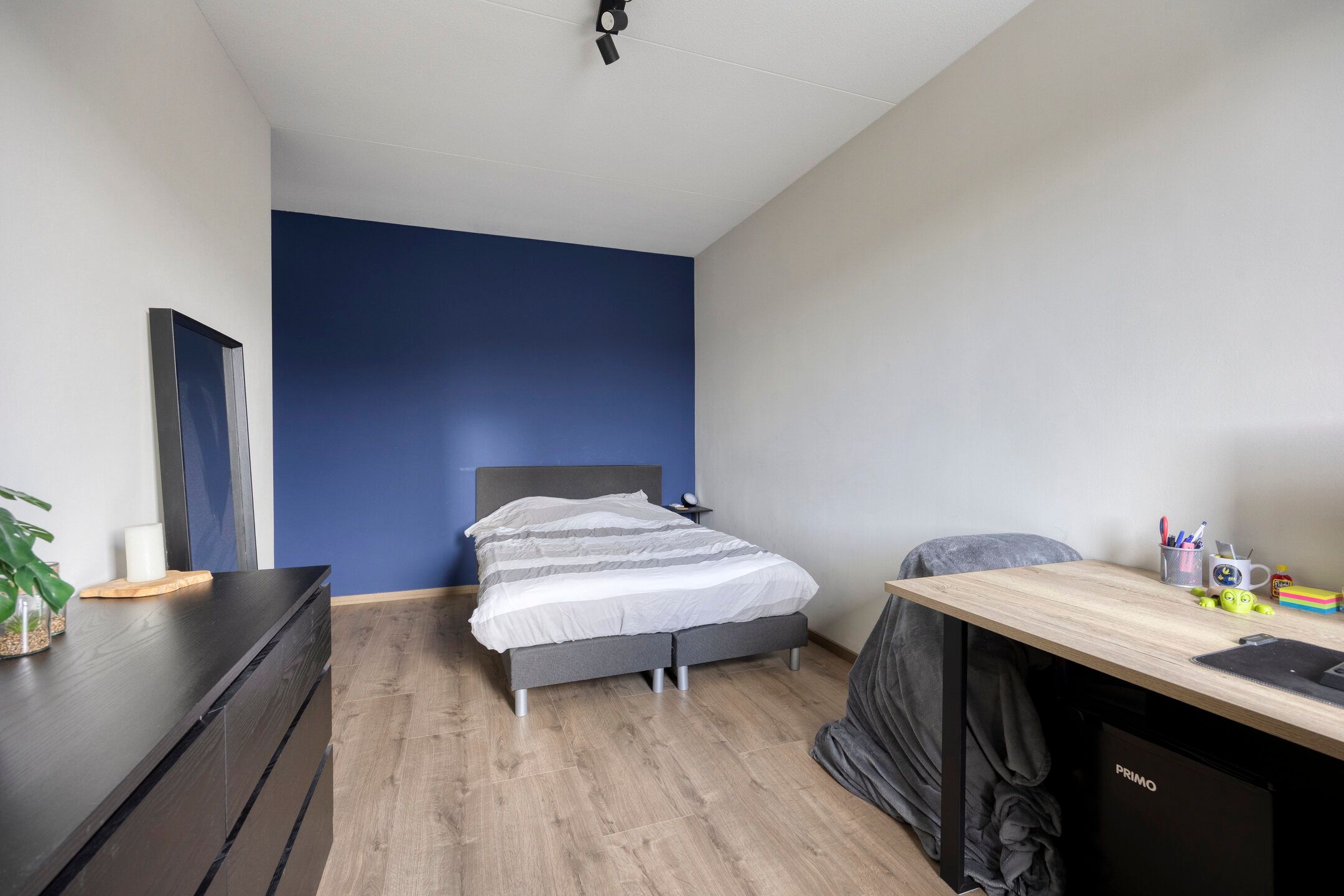 Foto 30 van Brielsemeer 11