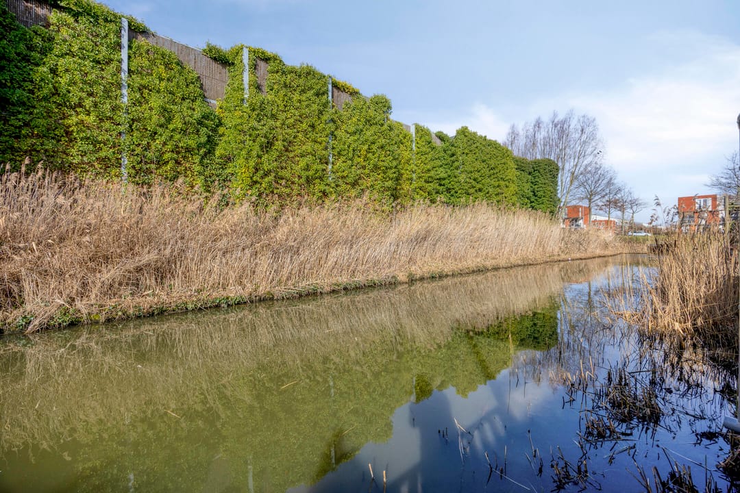 Foto 52 van Brielsemeer 11