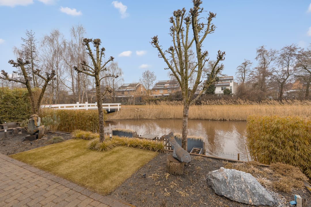 Photo 17 of Schoeimes 10