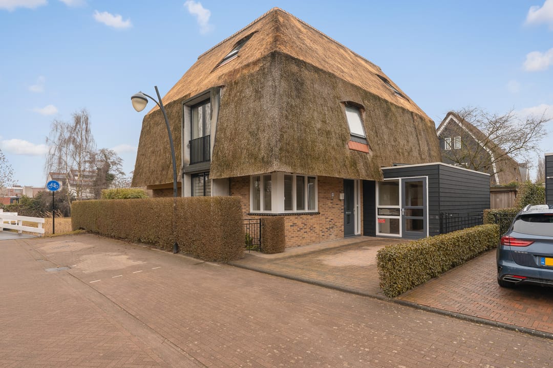 Photo 38 of Schoeimes 10