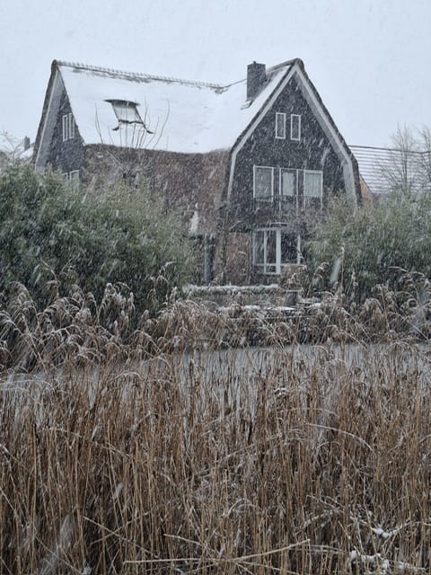 Photo 40 of Schoeimes 10