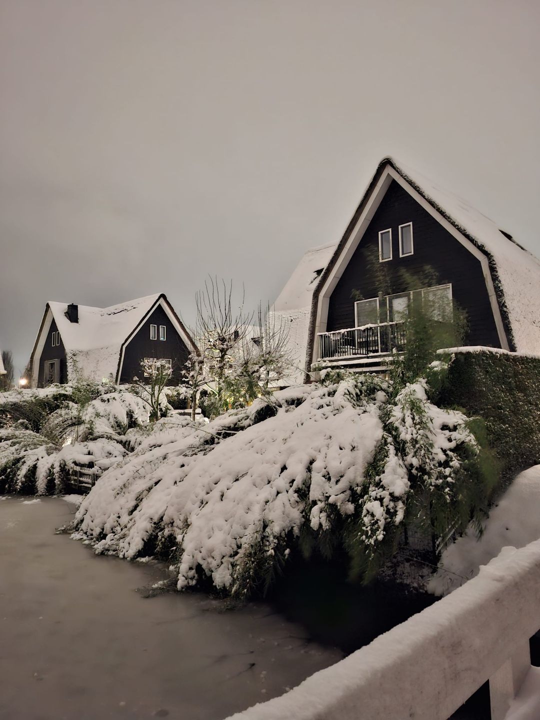 Photo 41 of Schoeimes 10