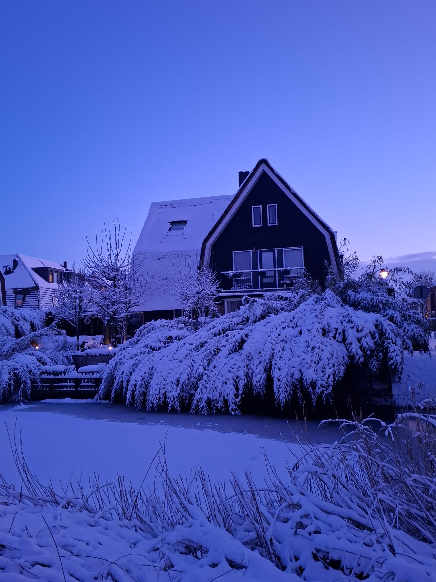 Photo 42 of Schoeimes 10