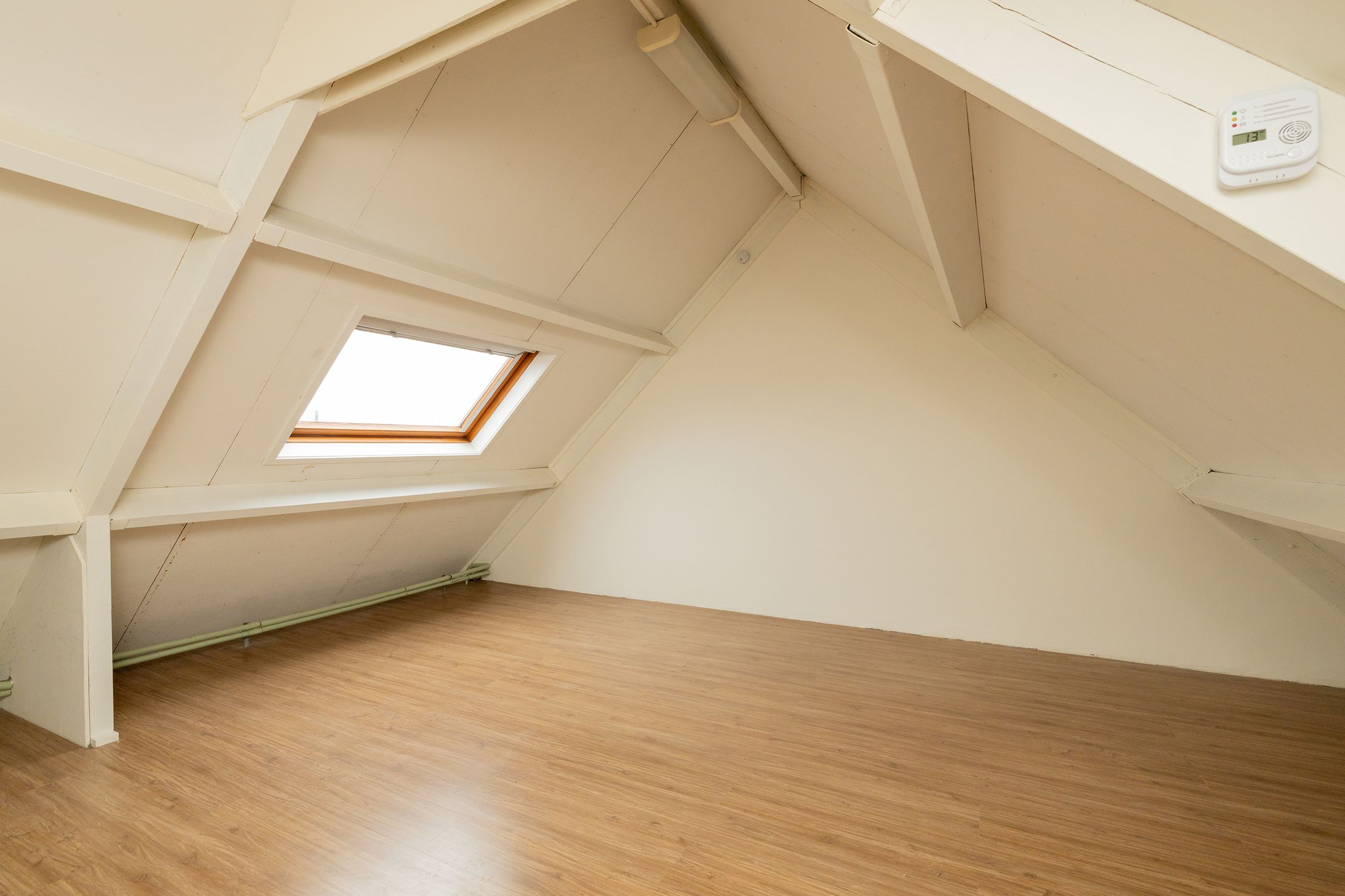 Foto 27 van Roelsplantsoen 1