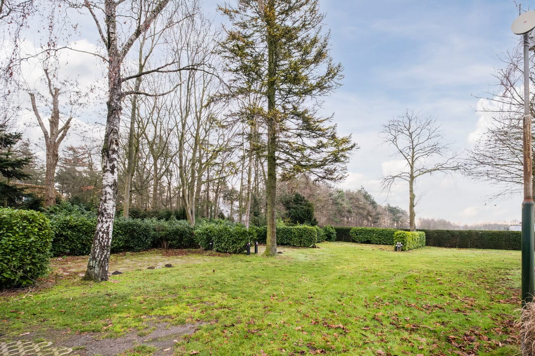 Foto 47 van de Kluis 20