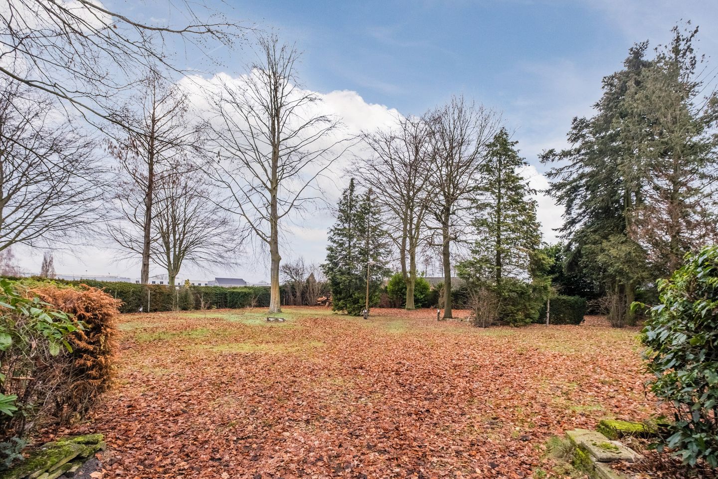 Foto 49 van de Kluis 20