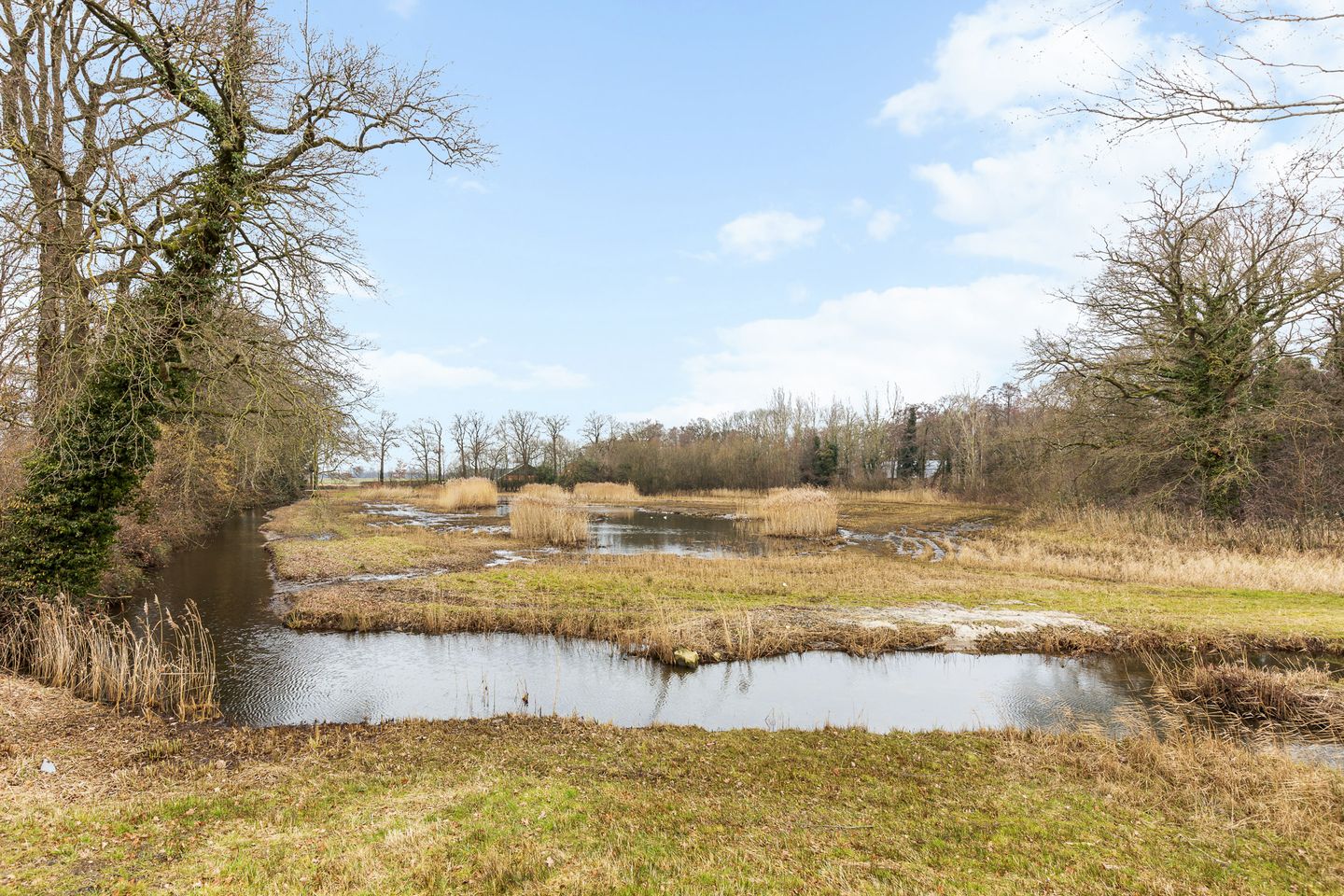 Foto 20 van Erve Stegeman 6