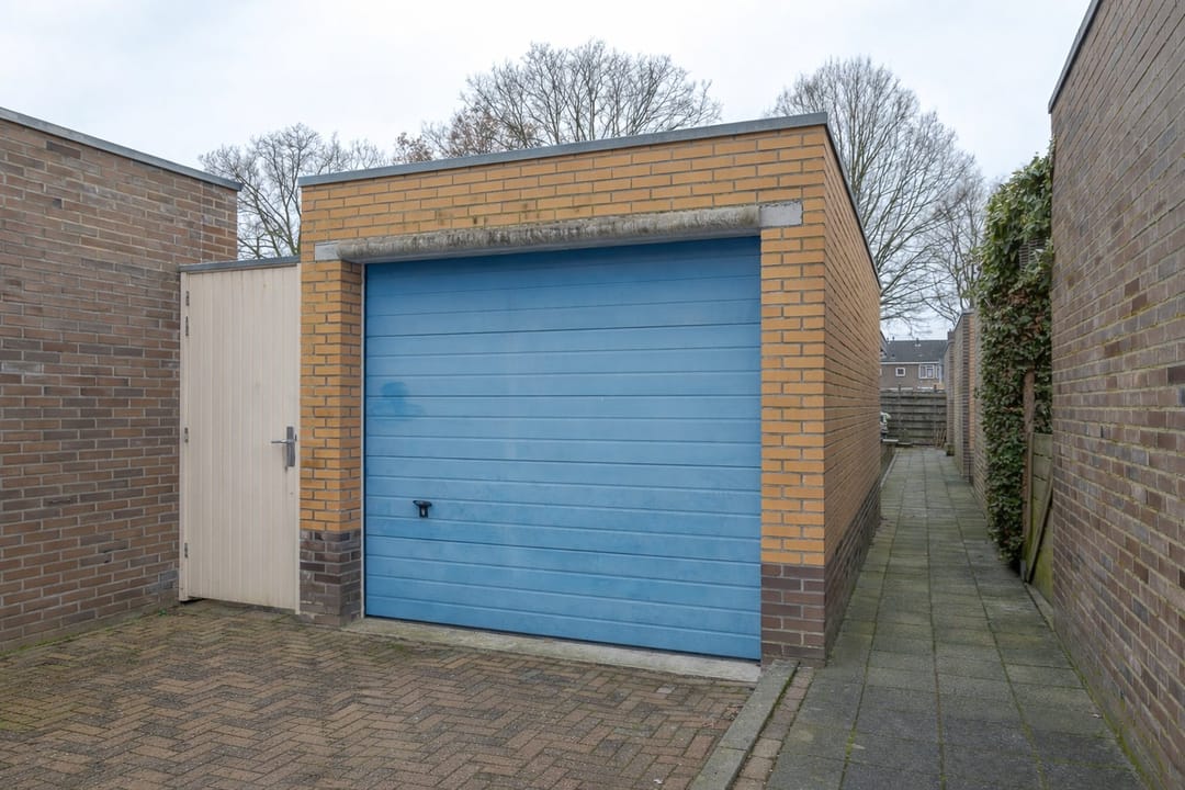 Photo 8 of Riemsnijder 1