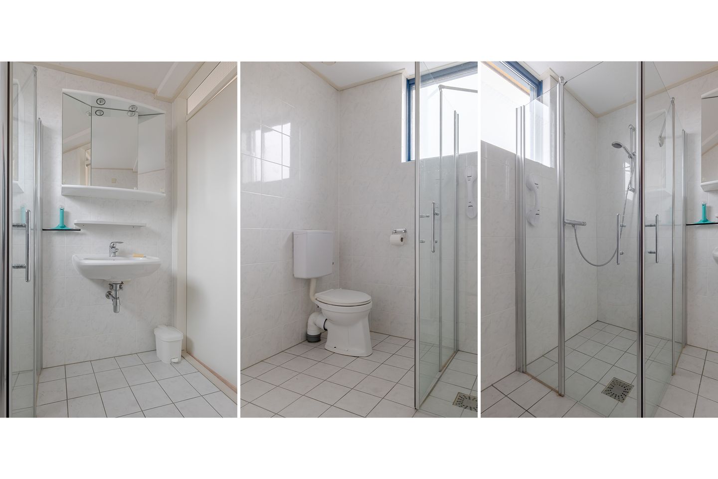 Photo 40 of Riemsnijder 1