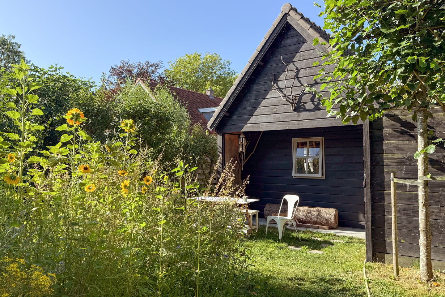 Foto 25 van Burgemeester van der Schansstraat 55