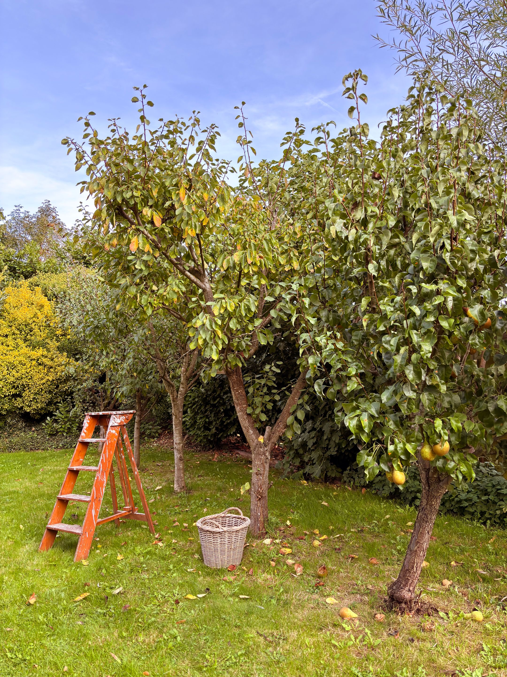 Foto 33 van Burgemeester van der Schansstraat 55