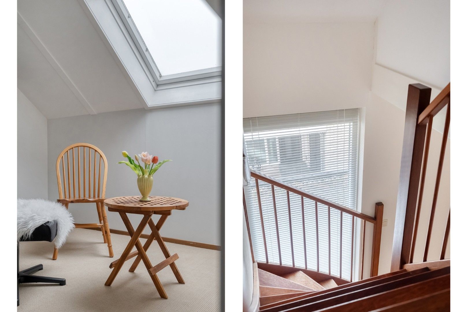 Foto 48 van Rozenheim 72