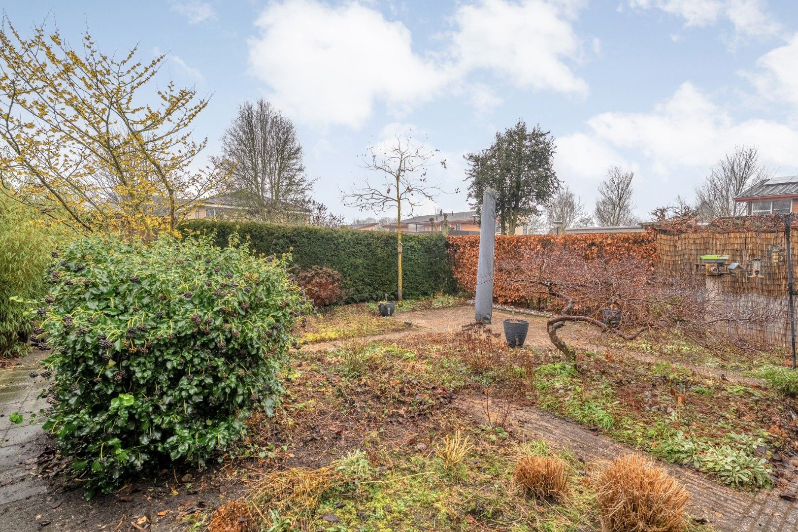 Foto 51 van Rozenheim 72