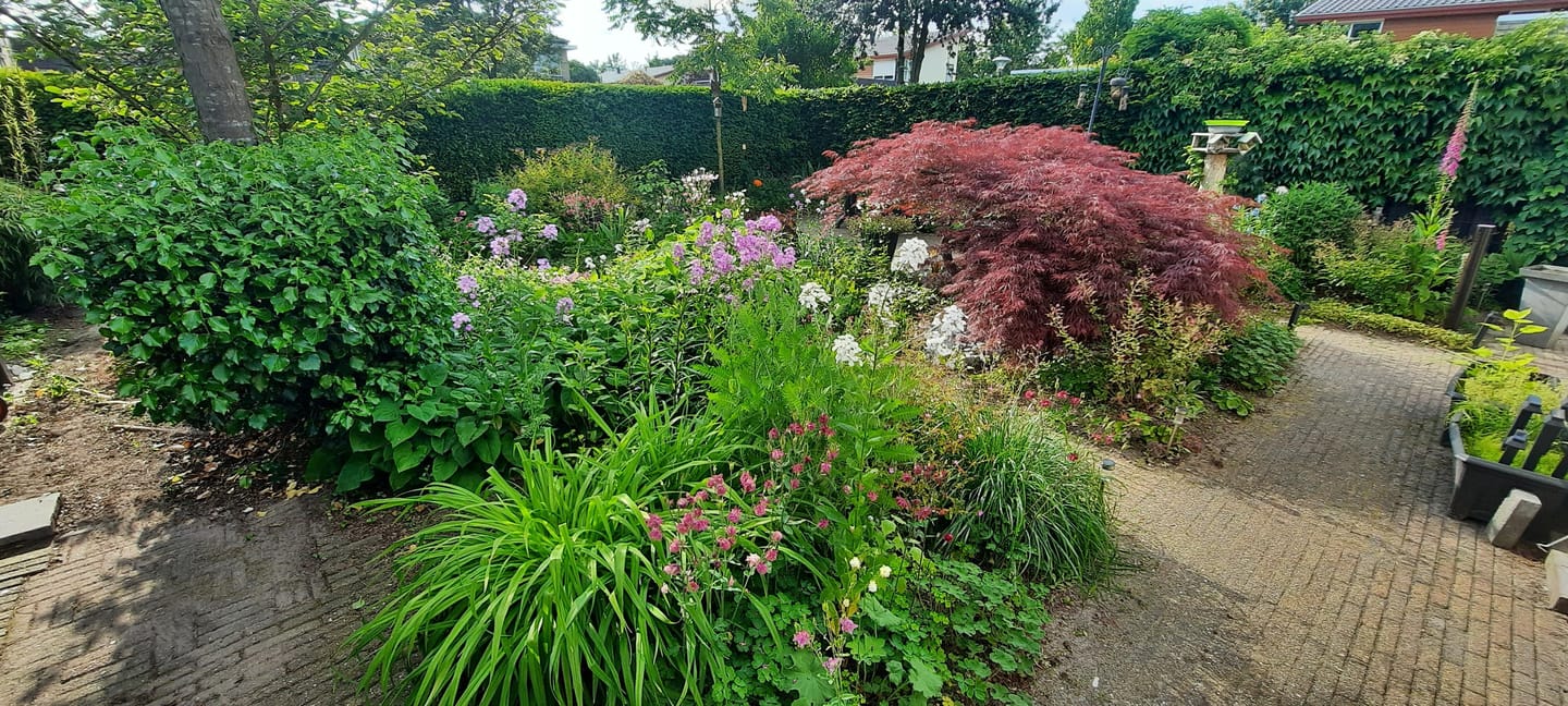 Foto 65 van Rozenheim 72