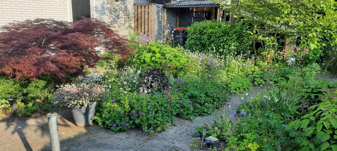 Foto 67 van Rozenheim 72