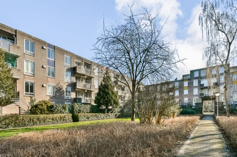 Bernard Shawsingel 372 secondary image