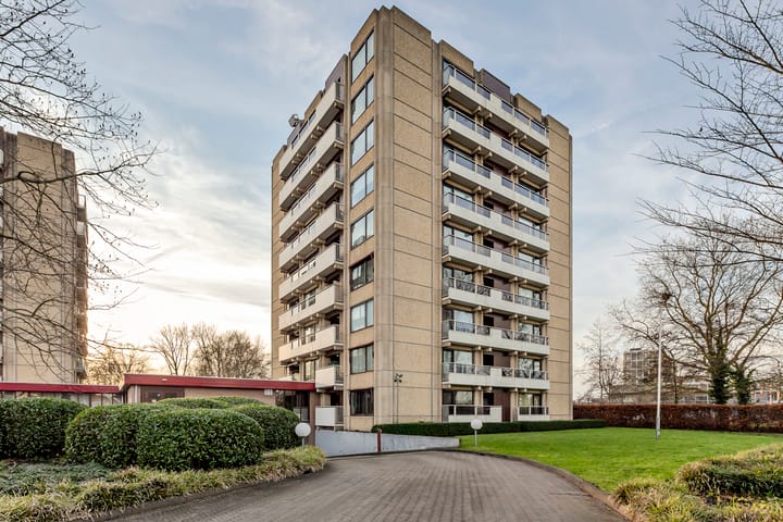 Thamerhorn 5 main image