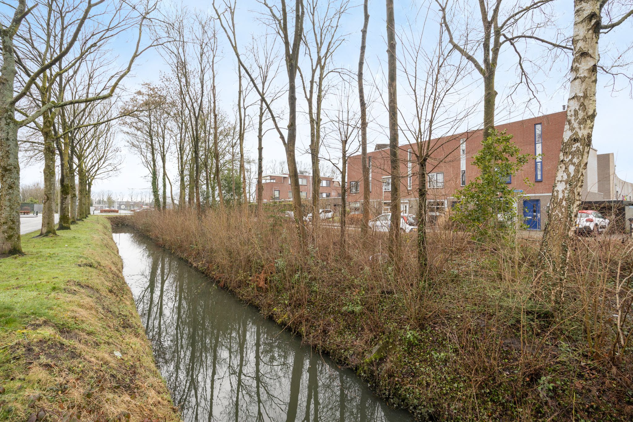 Foto 42 van Buitenhof 5