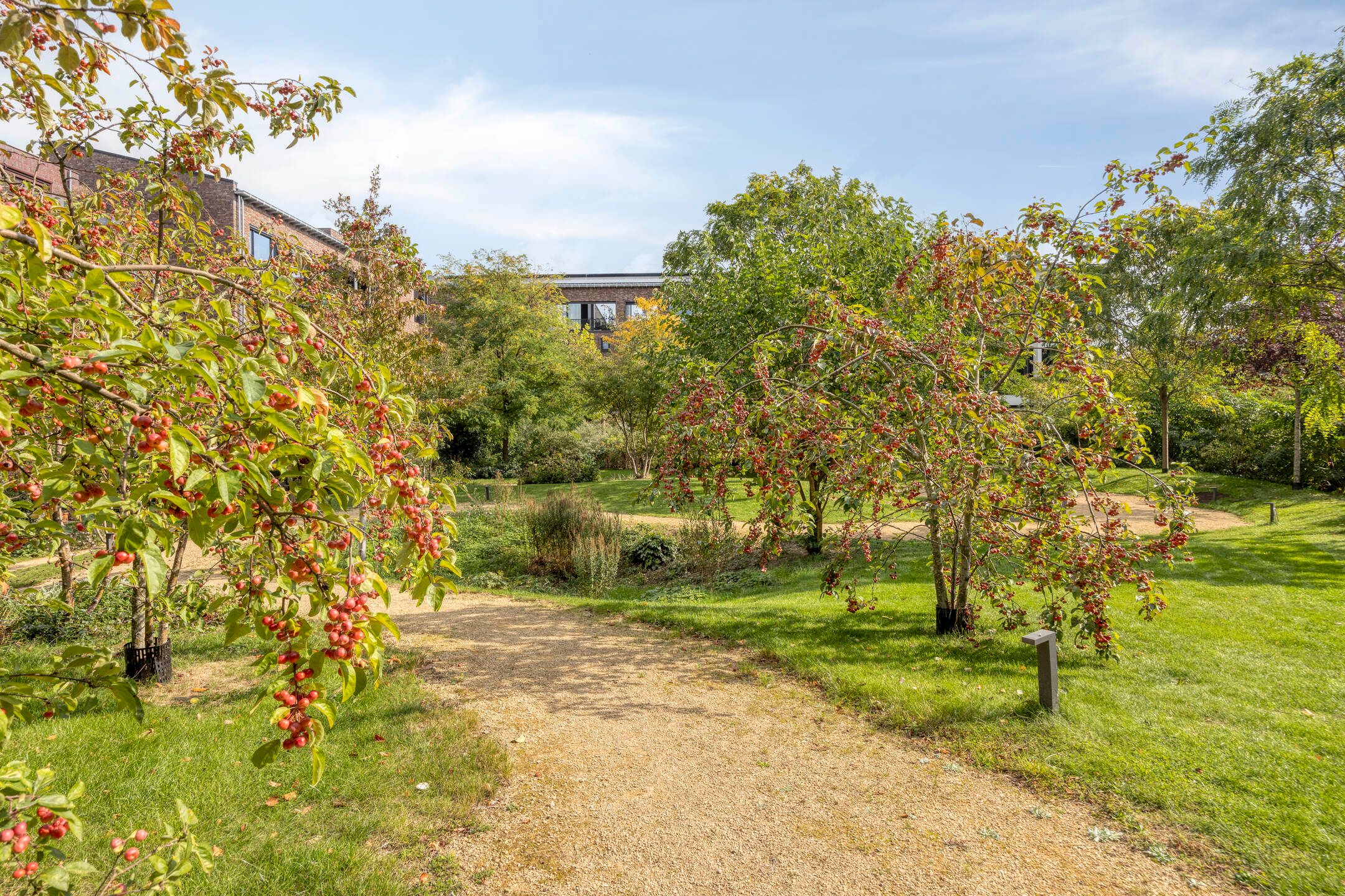 Foto 36 van Busschuttenpoort 13-A06