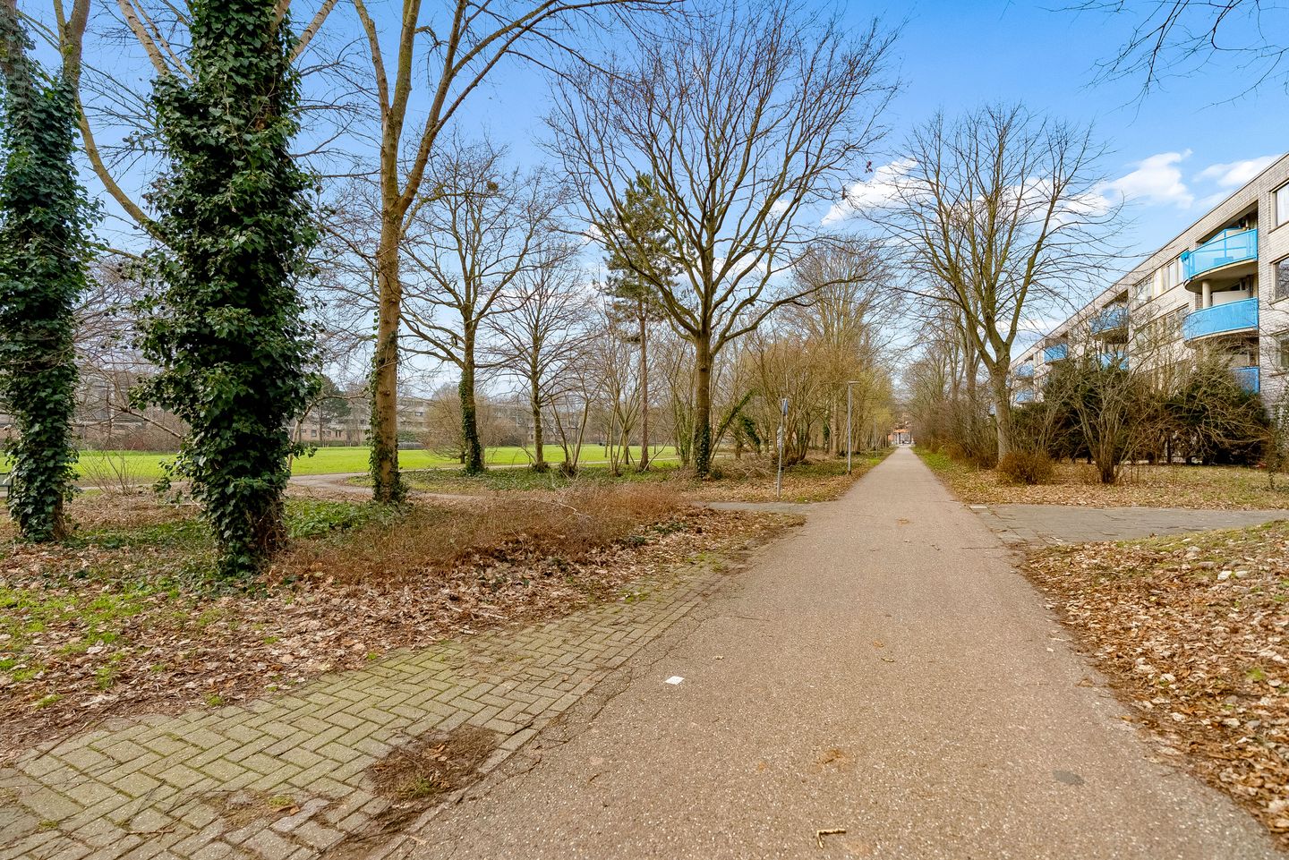 Foto 44 van Klarinetstraat 75