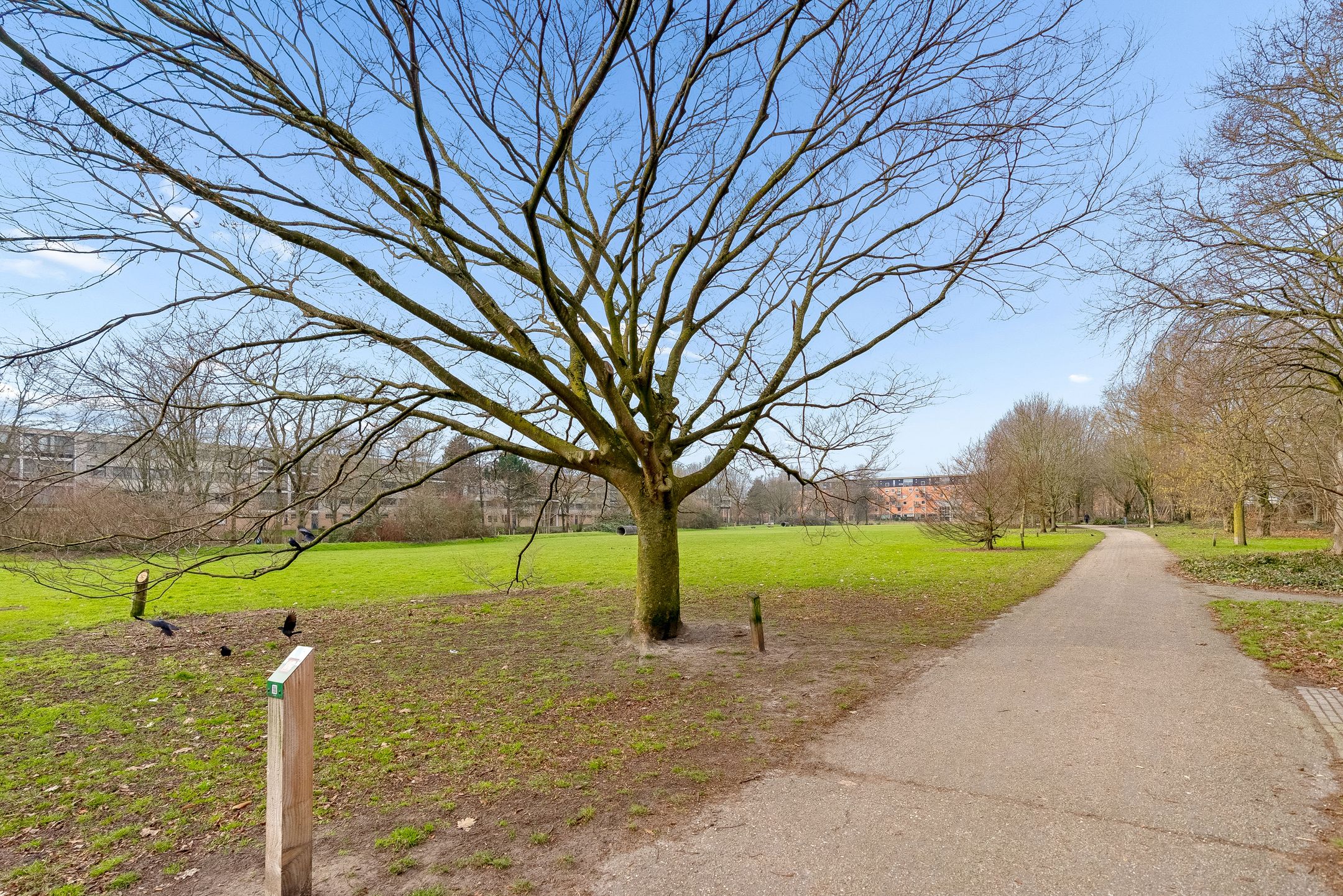 Foto 45 van Klarinetstraat 75