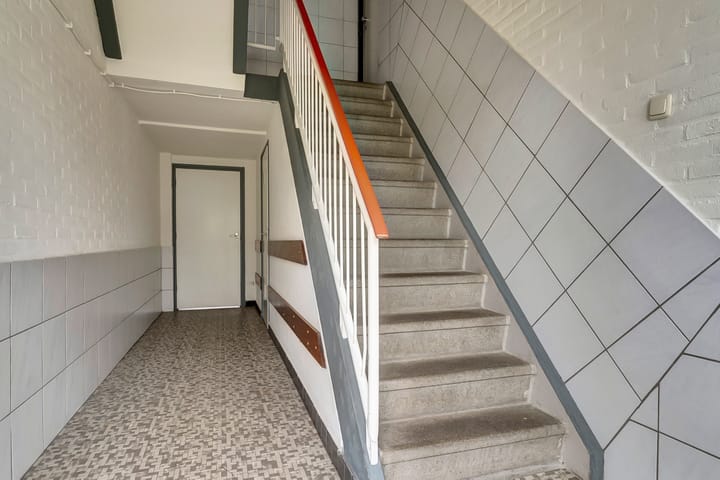 Foto 3 van Vogelplantsoen 155