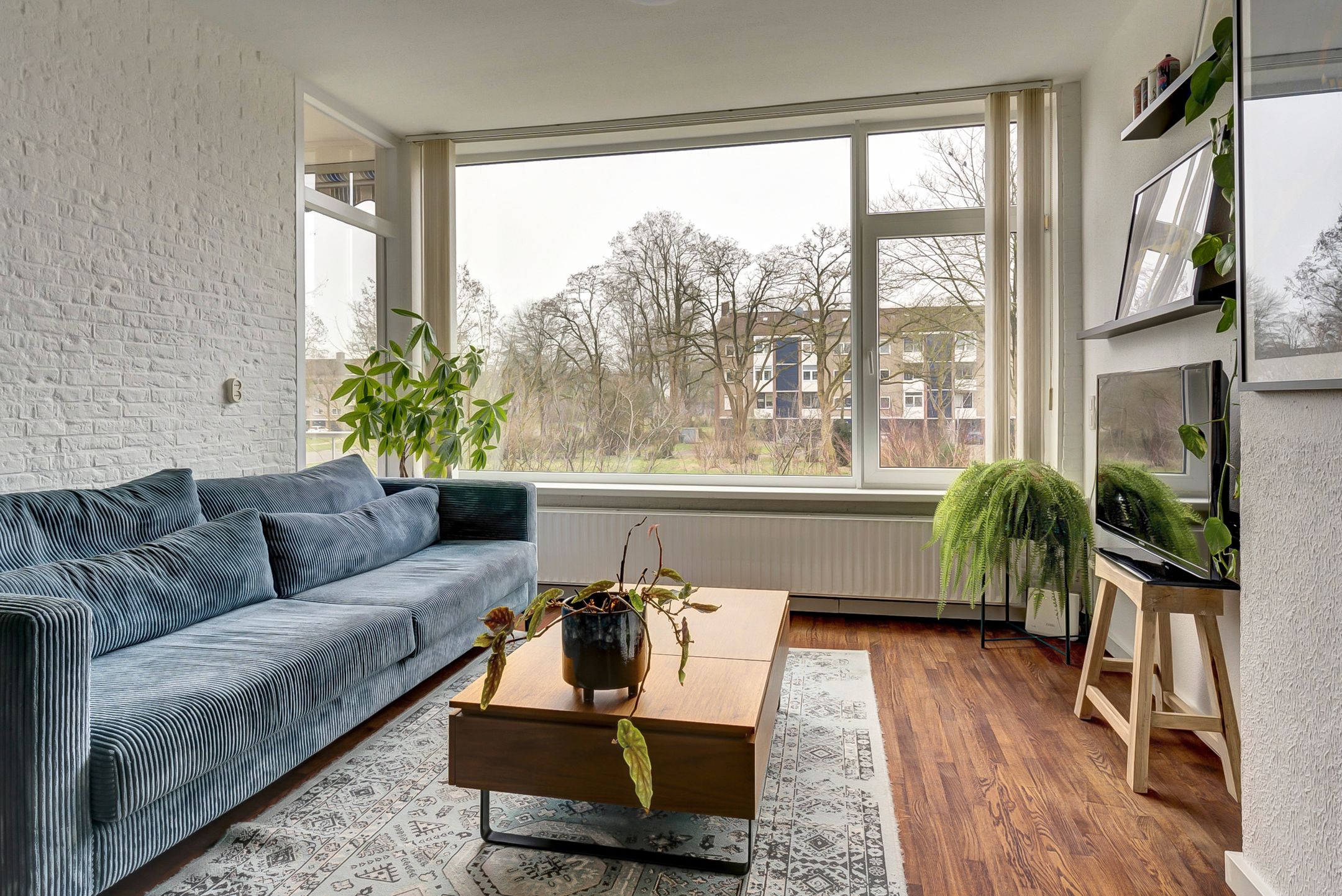 Foto 6 van Vogelplantsoen 155