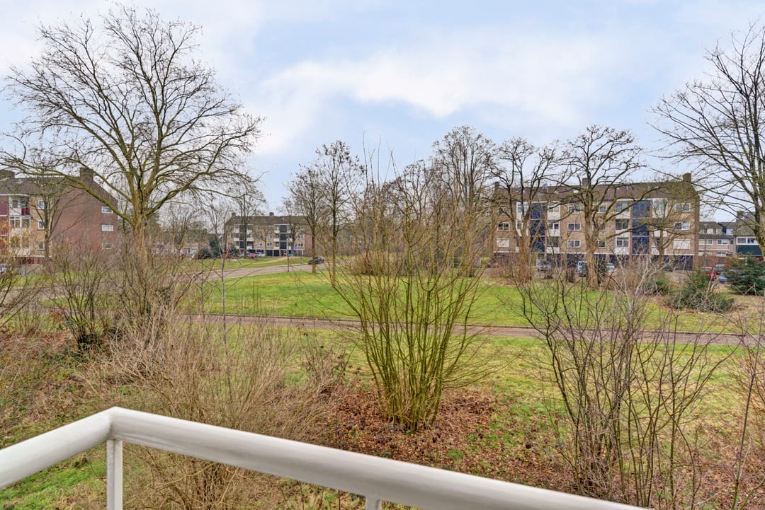 Foto 23 van Vogelplantsoen 155