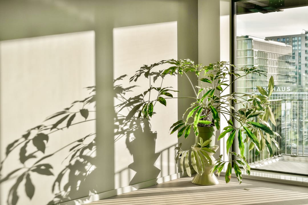 Foto 8 van Rijnlandlaan 271