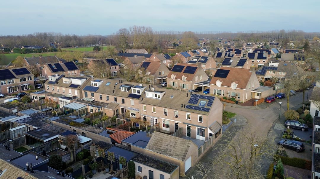 Foto 28 van Hopstamper 2