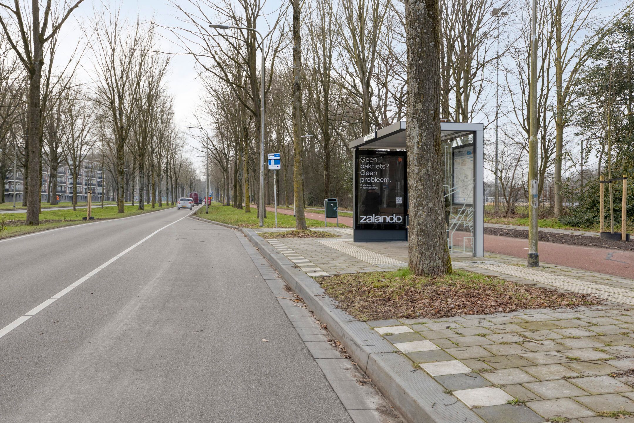 Foto 36 van Predikherenlaan 98